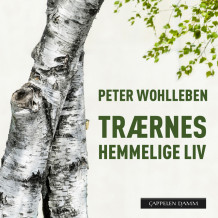 Trærnes hemmelige liv av Peter Wohlleben (Nedlastbar lydbok)