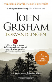 Forvandlingen av John Grisham (Heftet)