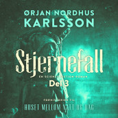 Stjernefall 3 av Ørjan Nordhus Karlsson (Nedlastbar lydbok)