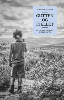 Gutten og fjellet av Torbjørn Ekelund (Ebok)