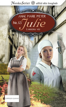 Lykkens vei av Anne Marie Meyer (Ebok)