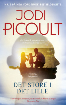 Det store i det lille av Jodi Picoult (Ebok)