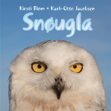 Snøugla av Kirsti Blom og Karl-Otto Jacobsen (Nedlastbar lydbok)