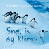 Snø, is og klima av Kirsti Blom og Jan-Gunnar Winther (Nedlastbar lydbok)
