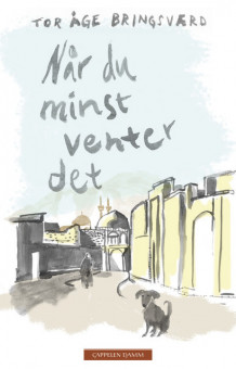 Når du minst venter det av Tor Åge Bringsværd (Ebok)