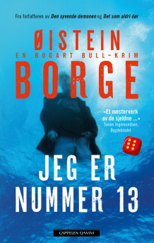 Jeg er nummer 13 av Øistein Borge (Ebok)