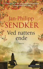 Ved nattens ende av Jan-Philipp Sendker (Ebok)