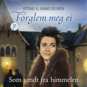 Som sendt fra himmelen av Stine S. Samuelsen (Nedlastbar lydbok)