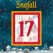 Snøfall 17. desember av Hanne Hagerup og Hilde Hagerup (Nedlastbar lydbok)