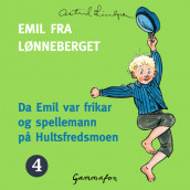 Omslag - Da Emil var frikar og spellemann på Hultsfredsmoen