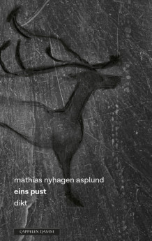 eins pust av Mathias Nyhagen Asplund (Ebok)