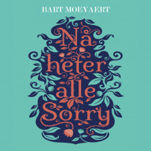 Nå heter alle Sorry av Bart Moeyaert (Nedlastbar lydbok)