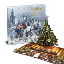 Harry Potter julekalender : En magisk jul på Galtvort (Pakke)