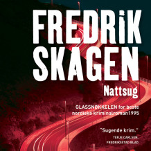 Nattsug av Fredrik Skagen (Nedlastbar lydbok)