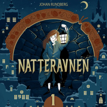 Natteravnen av Johan Rundberg (Nedlastbar lydbok)