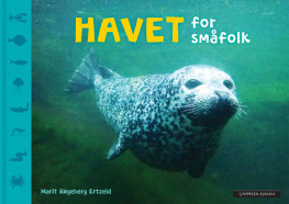 Omslag - Havet for småfolk