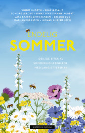 Endelig sommer av Lars Saabye Christensen, Vigdis Hjorth og Sondre Lerche (Heftet)