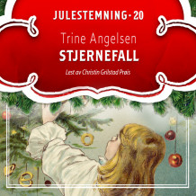 Stjernefall av Trine Angelsen (Nedlastbar lydbok)