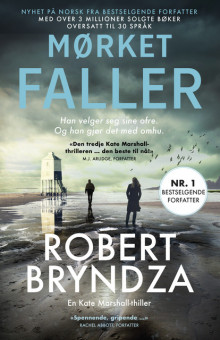 Mørket faller av Robert Bryndza (Ebok)