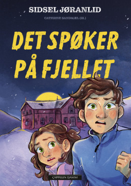 Omslag - Det spøker på fjellet