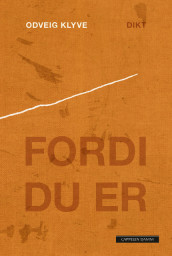 Fordi du er av Odveig Klyve (Ebok)