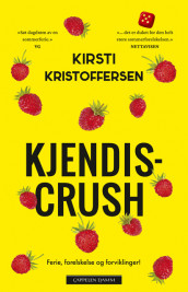 Kjendiscrush av Kirsti Kristoffersen (Heftet)