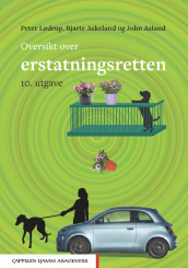 Oversikt over erstatningsretten av Bjarte Askeland, John Asland og Peter Lødrup (Ebok)