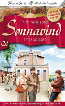 Tyvegodset av Frid Ingulstad (Ebok)