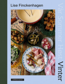 Vinter av Lise Finckenhagen (Innbundet)