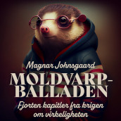 Moldvarpballaden - Fjorten kapitler fra krigen om virkeligheten av Magnar Johnsgaard (Nedlastbar lydbok)