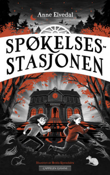 Spøkelsesstasjonen av Anne Elvedal (Ebok)