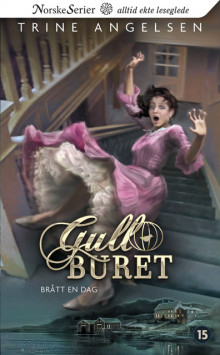 Brått en dag av Trine Angelsen (Ebok)