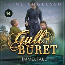 Himmelfall av Trine Angelsen (Nedlastbar lydbok)