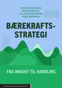 Bærekraftsstrategi av Erlend Aas Gulbrandsen, Sveinung Jørgensen, Torgeir Skyttermoen og Lars Jacob Tynes Pedersen (Heftet)
