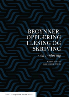 Begynneropplæring i lesing og skriving av Marte Monsen og Guri Bordal Steien (Heftet)