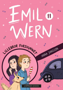Lillebror forsvunnet av Anna Jansson (Ebok)