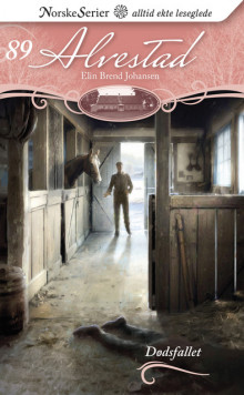 Dødsfallet av Elin Brend Johansen (Heftet)