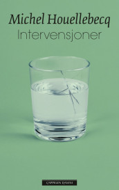 Intervensjoner av Michel Houellebecq (Ebok)