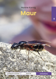 Leseunivers 9: Maur av Hanne Korvig (Innbundet)