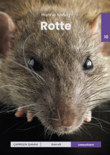 Leseunivers 10: Rotte av Hanne Korvig (Innbundet)