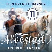 Alvorlige anklager av Elin Brend Johansen (Nedlastbar lydbok)