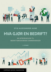 Hva gjør en bedrift? av Stig Aleksander Aune (Heftet)