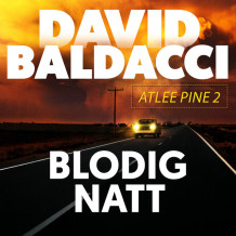 Blodig natt av David Baldacci (Nedlastbar lydbok)