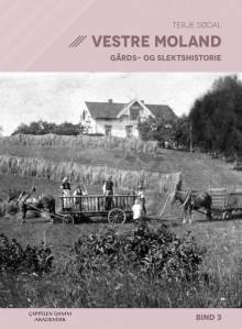 Vestre Moland av Terje Sødal (Innbundet)