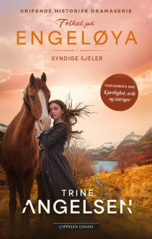 Syndige sjeler av Trine Angelsen (Heftet)
