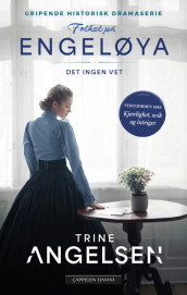 Det ingen vet av Trine Angelsen (Heftet)