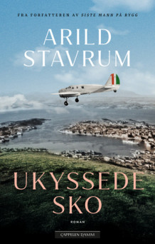 Ukyssede sko av Arild Stavrum (Innbundet)