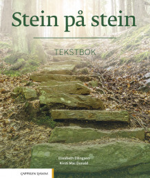 Stein på stein Tekstbok av Elisabeth Ellingsen og Kirsti Mac Donald (Heftet)