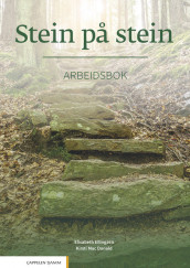 Stein på stein Arbeidsbok av Elisabeth Ellingsen og Kirsti Mac Donald (Heftet)
