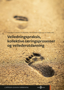 Veiledningspraksis, kollektive læringsprosesser og veilederutdanning av Anna Rigmor Moxnes, Eva Bjerkholt, Tine Dahlskås Krogen og Lars Opdal (Heftet)